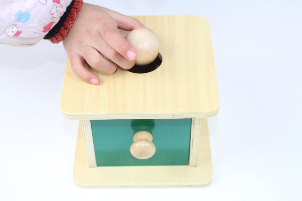 Montessori Wood Ball Matching Box - aleph-zero